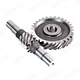 Worm Gear